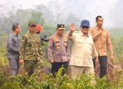 Perintah Presiden, Kemenhut Bekukan 6 Perusahaan Terkait Karhutla Kalimantan