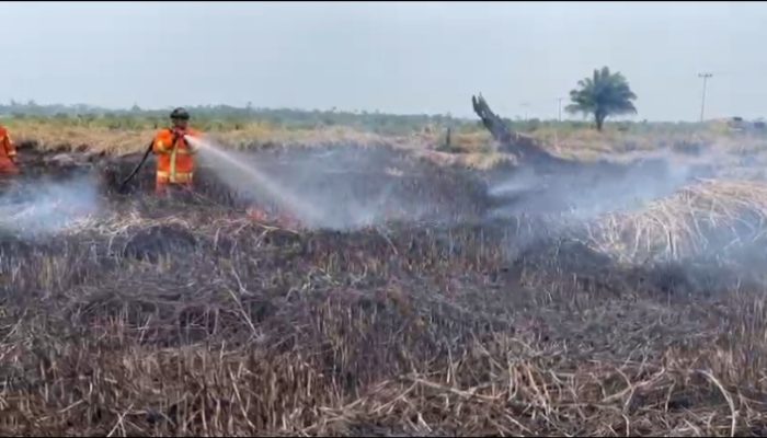 Tim Alpha Laksanakan Fastrope ke Titik Api, Siap Buka Jalan Tim Free Fall di Pekanbaru