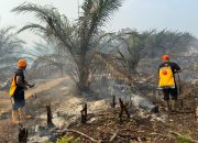 Brimob Polda Jambi Gerak Cepat Padamkan Karhutla di Kabupaten Tebo