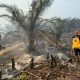 Brimob Polda Jambi Gerak Cepat Padamkan Karhutla di Kabupaten Tebo