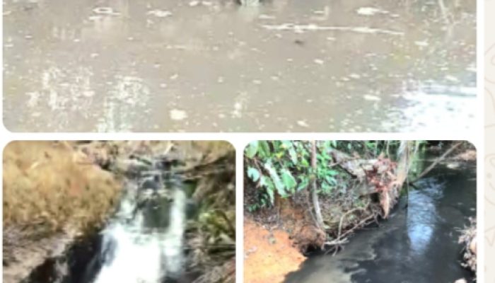 Diduga Limbah PT. ASS KAMPAR Bocor, No Hp Awak media di Blokir. Kabid Kominfo LSM BERANTAS : Info warga sedang kita cek