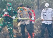 Karhutla di Kerumutan Ditangani Tim Gabungan, Pangdam XIX/Tuanku Tambusai Turun ke Lapangan