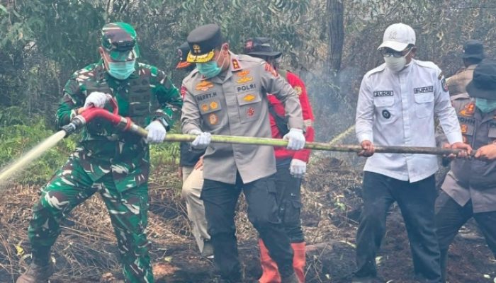 Karhutla di Kerumutan Ditangani Tim Gabungan, Pangdam XIX/Tuanku Tambusai Turun ke Lapangan