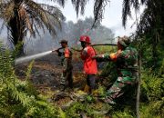 Selamatkan Kawasan Konservasi, TNI dan Tim Gabungan Perkuat Operasi Pemadaman Karhutla di SM Kerumutan
