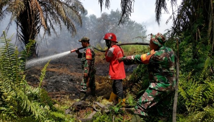 Selamatkan Kawasan Konservasi, TNI dan Tim Gabungan Perkuat Operasi Pemadaman Karhutla di SM Kerumutan