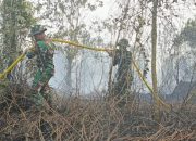 Kodam XIX/Tuanku Tambusai Kerahkan Pasukan Gabungan Padamkan Karhutla di Kampar