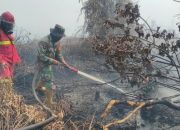 Kodam XIX Tuanku Tambusai Gerak Cepat Tangani Karhutla di Kampar, Api Berhasil Dipadamkan