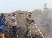 Kodam XIX Tuanku Tambusai Kerahkan 310 Personel Jinakkan Karhutla di Pelalawan, 967,69 Hektare Terbakar