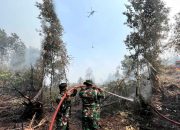 Padamkan Bara di Balik Gambut, Satgas Darat Lanud Sjamsudin Noor Jaga Permukiman Dari Ancaman Karhutla