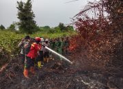 Karhutla Belum Sepenuhnya Padam, Kodam XIX/Tuanku Tambusai Perkuat Penanganan di Bengkalis dan Meranti