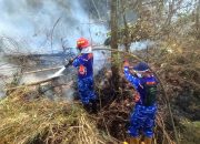Siang Hingga Dini Hari, Satgas Karhutla Lanud Sjamsudin Noor Terus Bergerak, Terjang Padamkan Api di Lahan Gambut