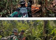 TEMBUS HUTAN RIAU PADAMKAN KARHUTLA, PRAJURIT TNI AU TEMUKAN INDIKASI ILLEGAL LOGING
