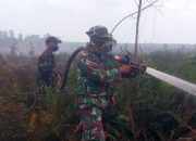 Kodam XIX/Tuanku Tambusai Intensifkan Pendinginan Karhutla 13 Hektare di Bengkalis