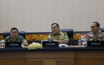 Hadapi Puncak Karhutla, Kodam XIX/Tuanku Tambusai dan Pemprov Riau Satukan Langkah