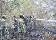Danrem 044/Gapo Tinjau Penanganan Karhutla, Perkuat Upaya Pemadaman dan Pencegahan di Sumatera Selatan