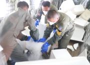 TNI Semai 9,2 Ton Garam dan 1,6 Ton Dry Ice Atasi Karhutla di Kalimantan