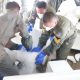 TNI Semai 9,2 Ton Garam dan 1,6 Ton Dry Ice Atasi Karhutla di Kalimantan